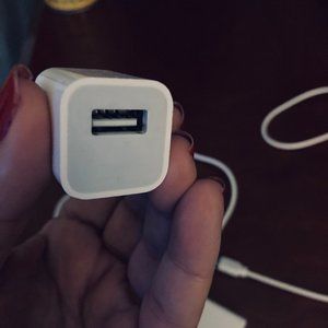 1 Apple Charger  and 1 USB Cables